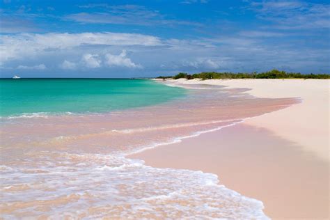 Pink Sand Aruba Beaches Plus 9 Most Beautiful Aruba Beaches 52