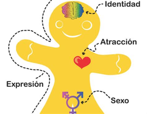 ¿qué es la orientación sexual culco bcs