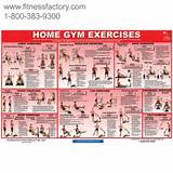 York Home Gym Exercise Routines Pictures