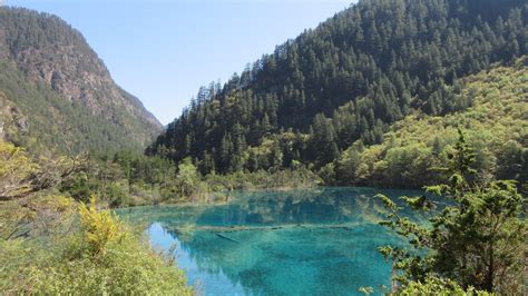 Travel Guide Exploring The Clear Lakes Of Jiuzhaigou