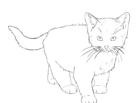 How To Draw A Baby Kitten