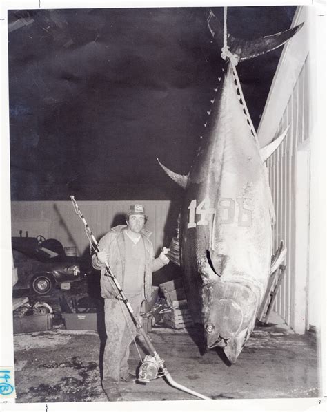 World Record Tuna Outdoor Life
