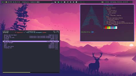 Arch Linux Com Bspwm Minha Personalização Diolinux Plus