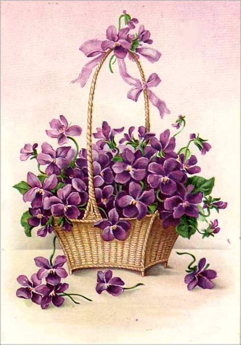 Cartes Illustrées Vintage Fleurs Violettes Balades Comtoises
