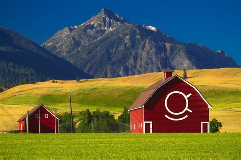 9 Most Profitable Agricultural Business Ideas in 2020 ...