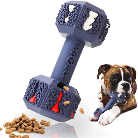 21 Best Chew Proof Dog Toys Whydopets