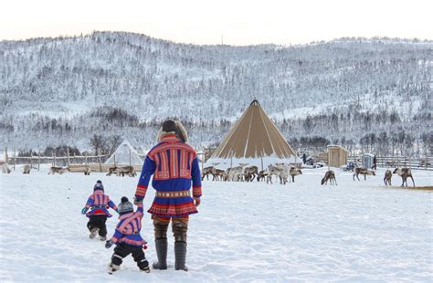 Reindeer And Sami Culture Best Arctic