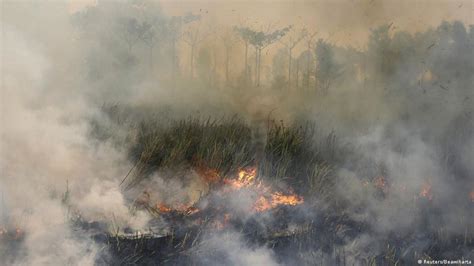 Worsening Haze Leaves South East Asia Choked News Dw 15092015