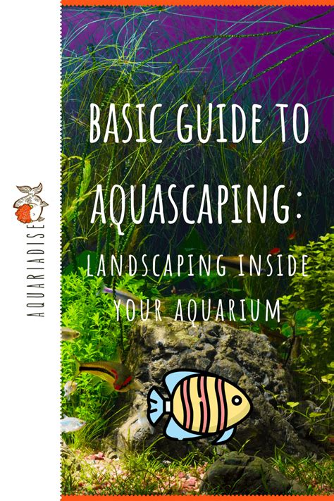 I can't promise you an easy way to an a+ aquascape, but what i can do in this aquascaping guide is give you three easy tips. A Basic Guide To Aquascaping: Landscaping Inside Your Aquarium