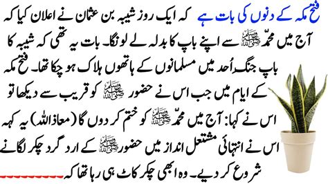 Hazrat Muhammad Saw Story Moral Stories In Urdu Sabaq Amoz Kahani