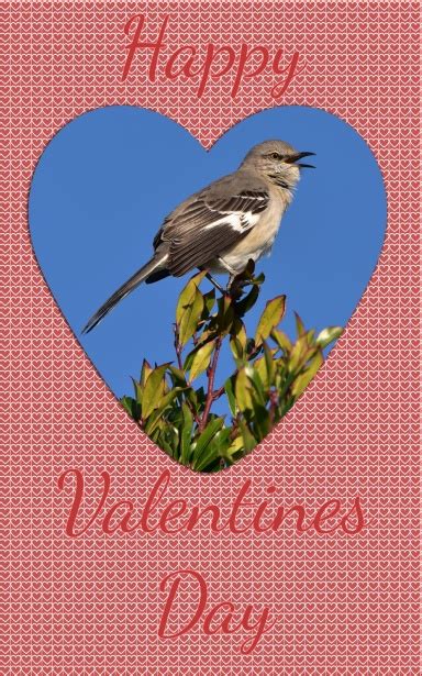 Happy Valentines Day Card Free Stock Photo Public Domain Pictures