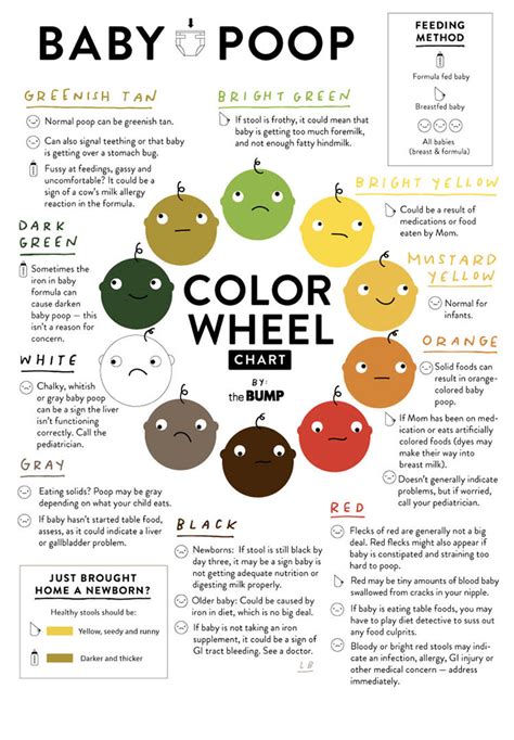 Baby Poop Guide Whats Normal And Whats Not Poop Stool Color Changes