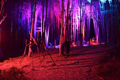 Press Release Night Lights Returns To Griffis Sculpture Park For Fifth