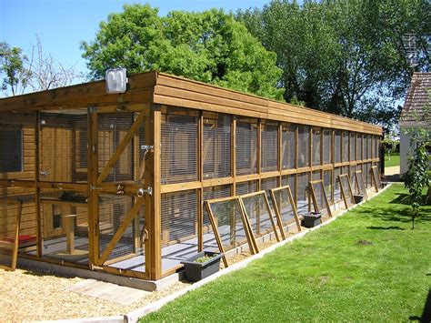 Welcome To Isleham Cattery Dog Boarding Kennels Cattery Outdoor Cat