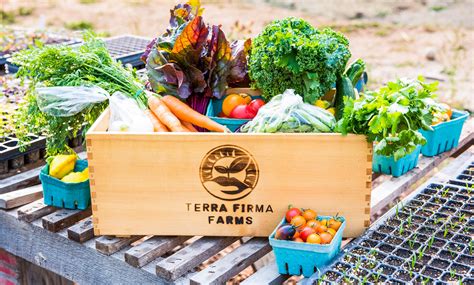 Csa Box Subscription Full Share