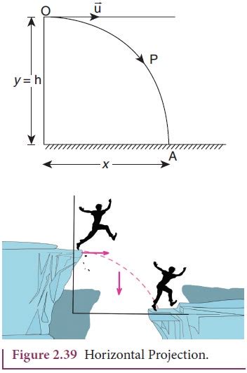 Horizontal Projection