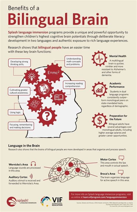 How Language Learning Affects A Childs Brain Abc Cincy