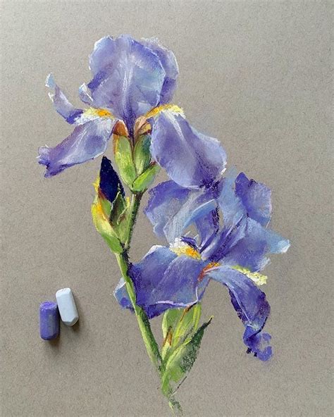 Take A Scroll Through This Collection Of Beautiful Flowers Painted In