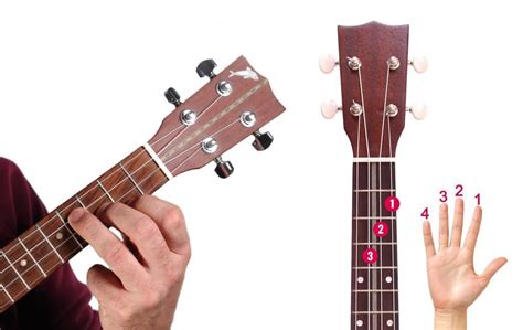 Ukulele Em Chord Ukulele Accordo Di Mim Uke For All