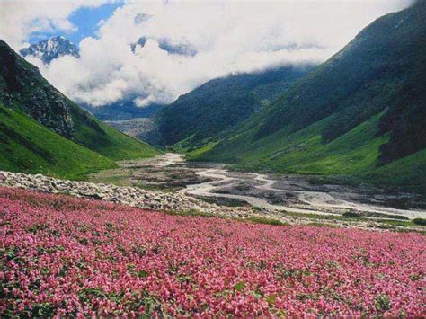 Still, the best time to explore the city is from april to october when the beauty of this place reaches its zenith and the whole valley gets covered with flowers. Valley of Flowers Trekking Trip Tour (127210),Holdiay ...