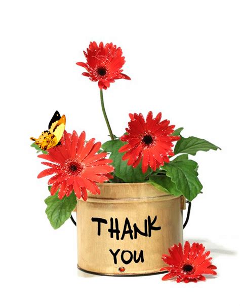 A Flower Pot With Red Flowers In It And The Words Thank You Written On It