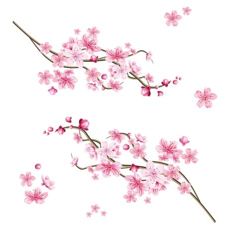 Premium Vector Realistic Sakura Tree Branch Elegant Japanese Symbol
