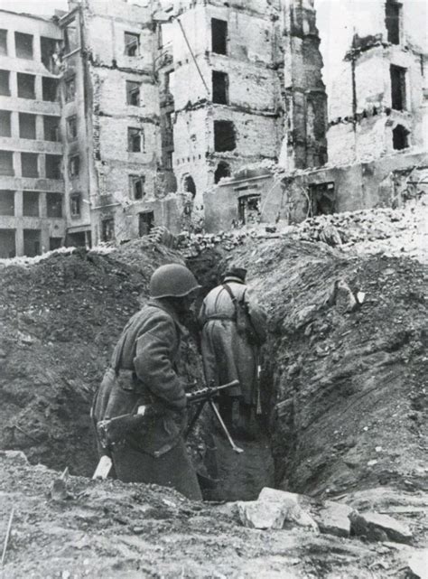 Horrors Of War Incredible Photos That Show The Brutal Reality Of The Battle Of Stalingrad