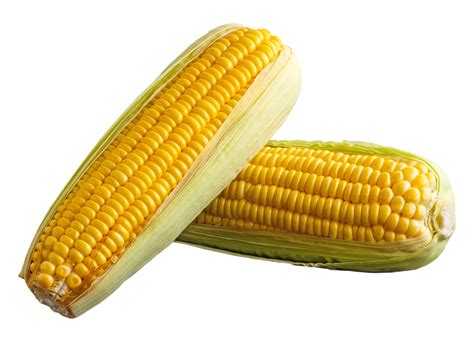 Sweet Corn Png Png