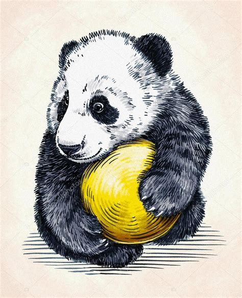 Engrave Ink Draw Panda Illustration — Stock Photo © Turaevgeniygmail