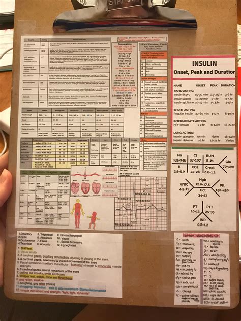 Printable Nursing Clipboard Cheat Sheet