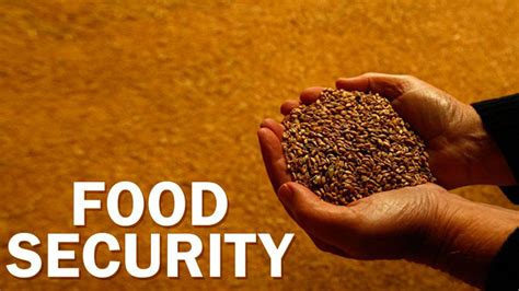 Food Security 4 Dimensions Of Food Security Agriculture Nigeria