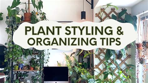 Tips For Plant Styling And Organizing Your Houseplants Youtube