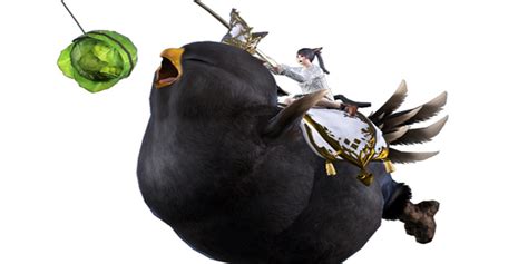 How To Get Fat Black Chocobo In Ffxiv