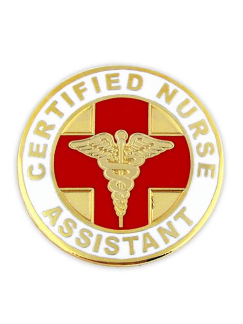 Buy Pinmart Certified Nurse Assistant Cna Lapel Pin Online At Desertcartuae