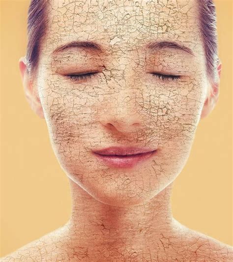 Top 38 Home Remedies For Dry Skin On Face Dryskinremedies