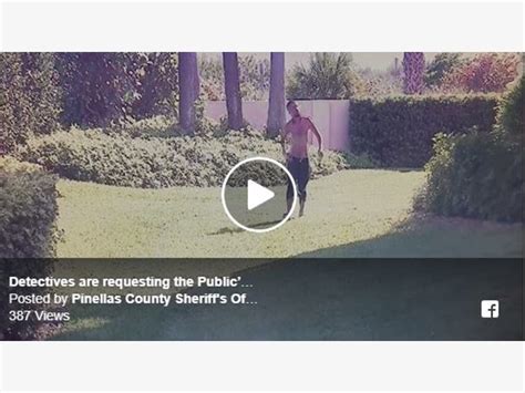 pinellas sheriff seeks burglar caught on video climbing over wall pinellas beaches fl patch