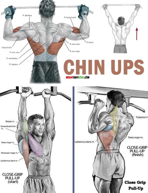 Assisted Pull Up Video And Guide Fitness