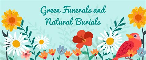 Green Funerals And Natural Burials Funeral Homes