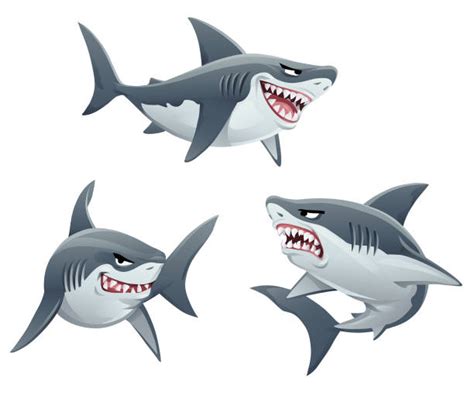 22900 Pics For With Sharks Illustrations Royalty Free Vector