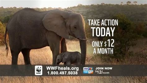 World Wildlife Fund Tv Commercial A World Without Elephants Ispottv