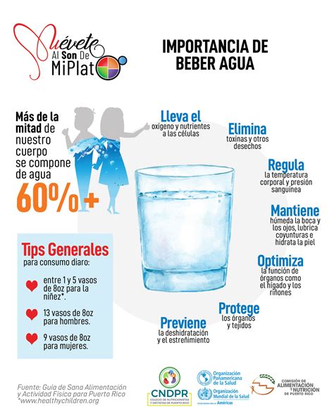 Importancia De Beber Agua Cndpr