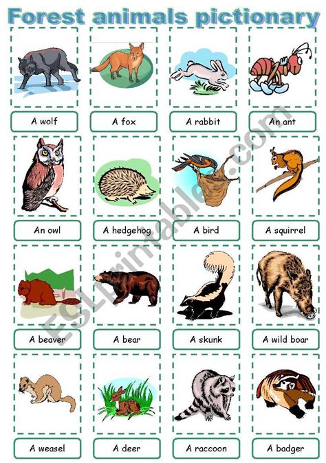 Forest Animal Pictionary Esl Worksheet By Maayyaa