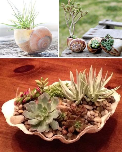 24 Creative Garden Container Ideas With Pictures