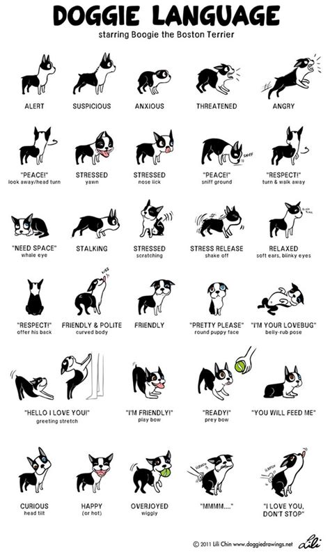 Printable Dog Body Language Chart Printable Word Searches
