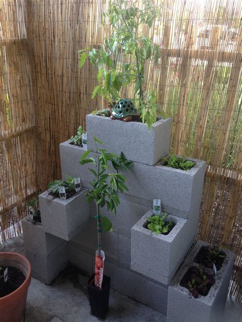 By using a cinder block, you have taken care to minimize a room. Urban garden, cinder block garden, small space gardening ...