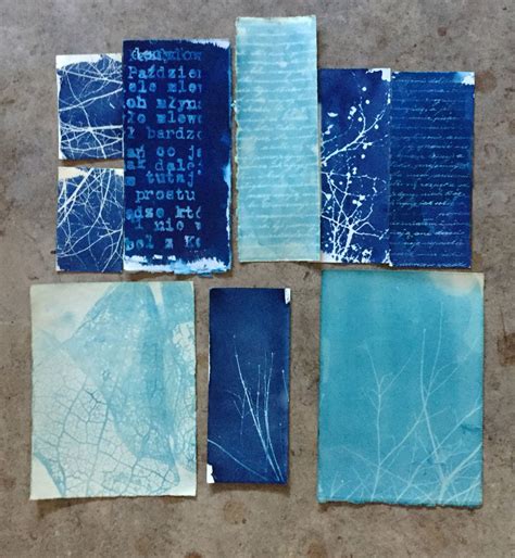 Ive Got The Blues Cyanotype Process Cyanotype Sun Prints