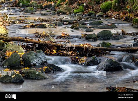 A Water Cascade With Boulders In Autumn Creek With Fallen Leaves On A