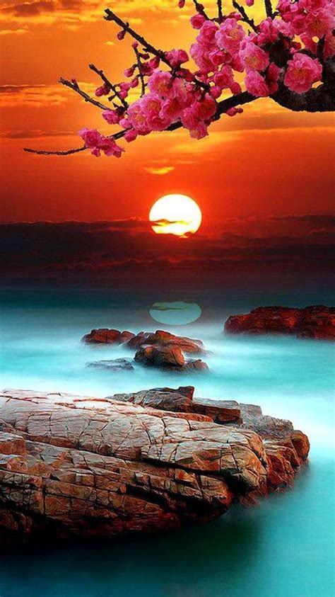 Wallpaper Collection 37 Free Hd Sunset Wallpaper Iphone