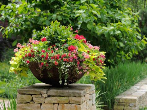20 planter gardening ideas you must look sharonsable