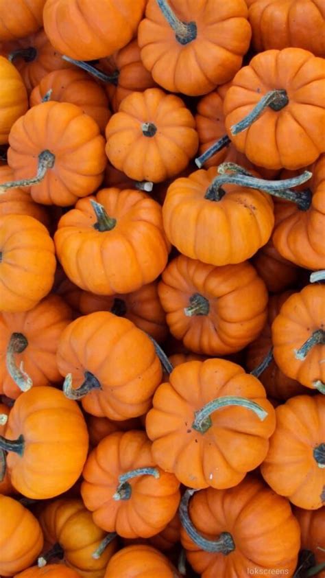 2 years ago 1 year ago. Pin by Kaitlyn Metzger on wallpapers | Fall wallpaper, Pumpkin wallpaper, October wallpaper